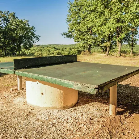 Quiet With Shared Pool Salignac-Eyvigues