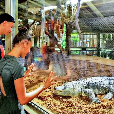 بيت للعطل Quiet With Shared Pool Salignac Eyvigues