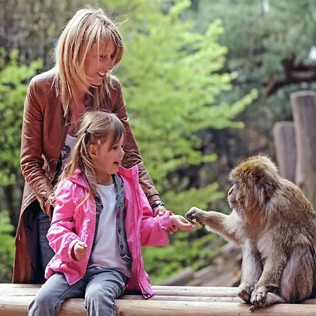 Quiet With Shared Pool * Salignac Eyvigues