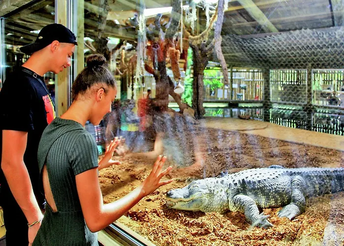 Semesterbostad Quiet With Shared Pool Salignac Eyvigues