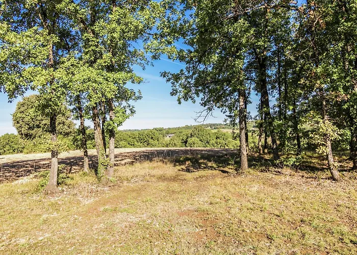 Quiet With Shared Pool Semesterbostad Salignac Eyvigues