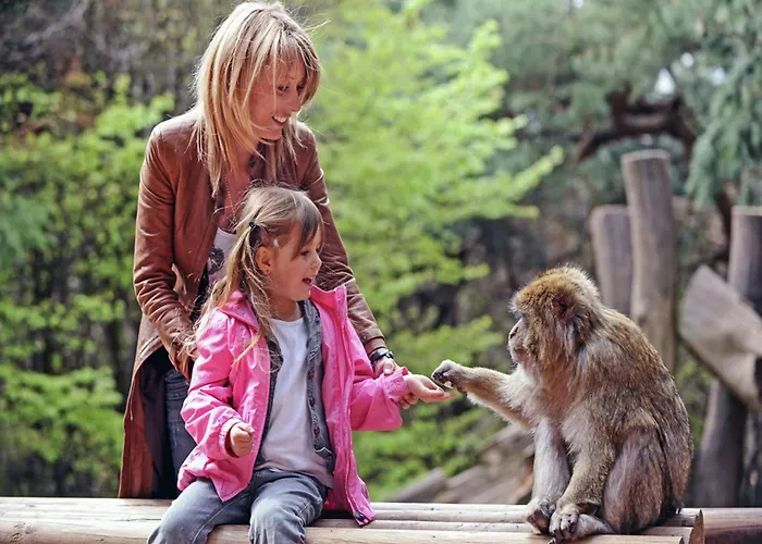 Quiet With Shared Pool * Salignac Eyvigues